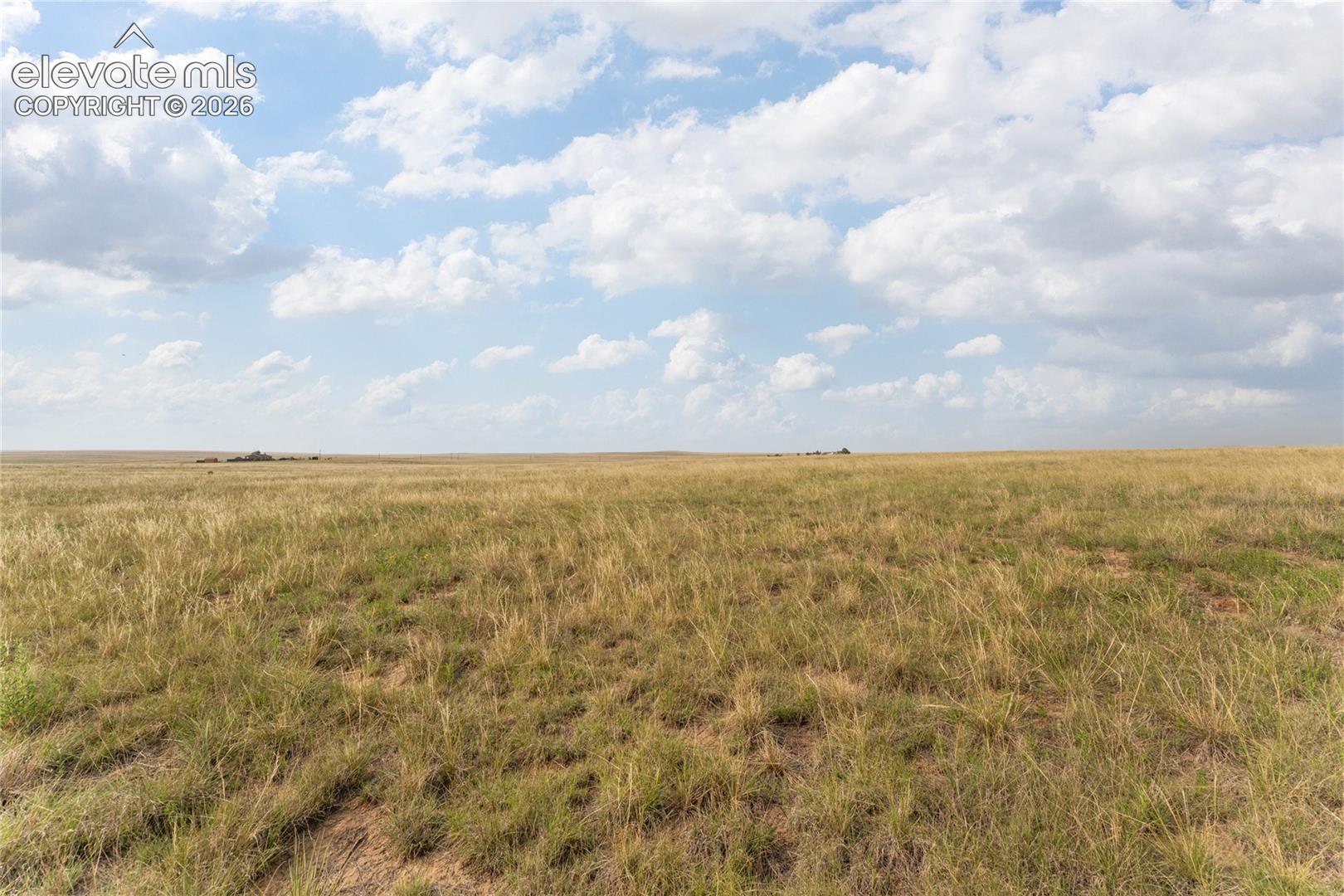 Expansive open land featuring diverse natural grasses and a clear horizon