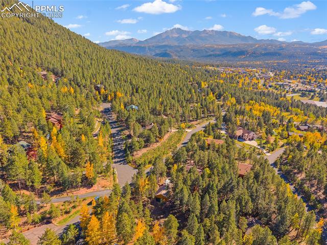 Photo 9 of 1320 Forest Edge Road, Woodland Park