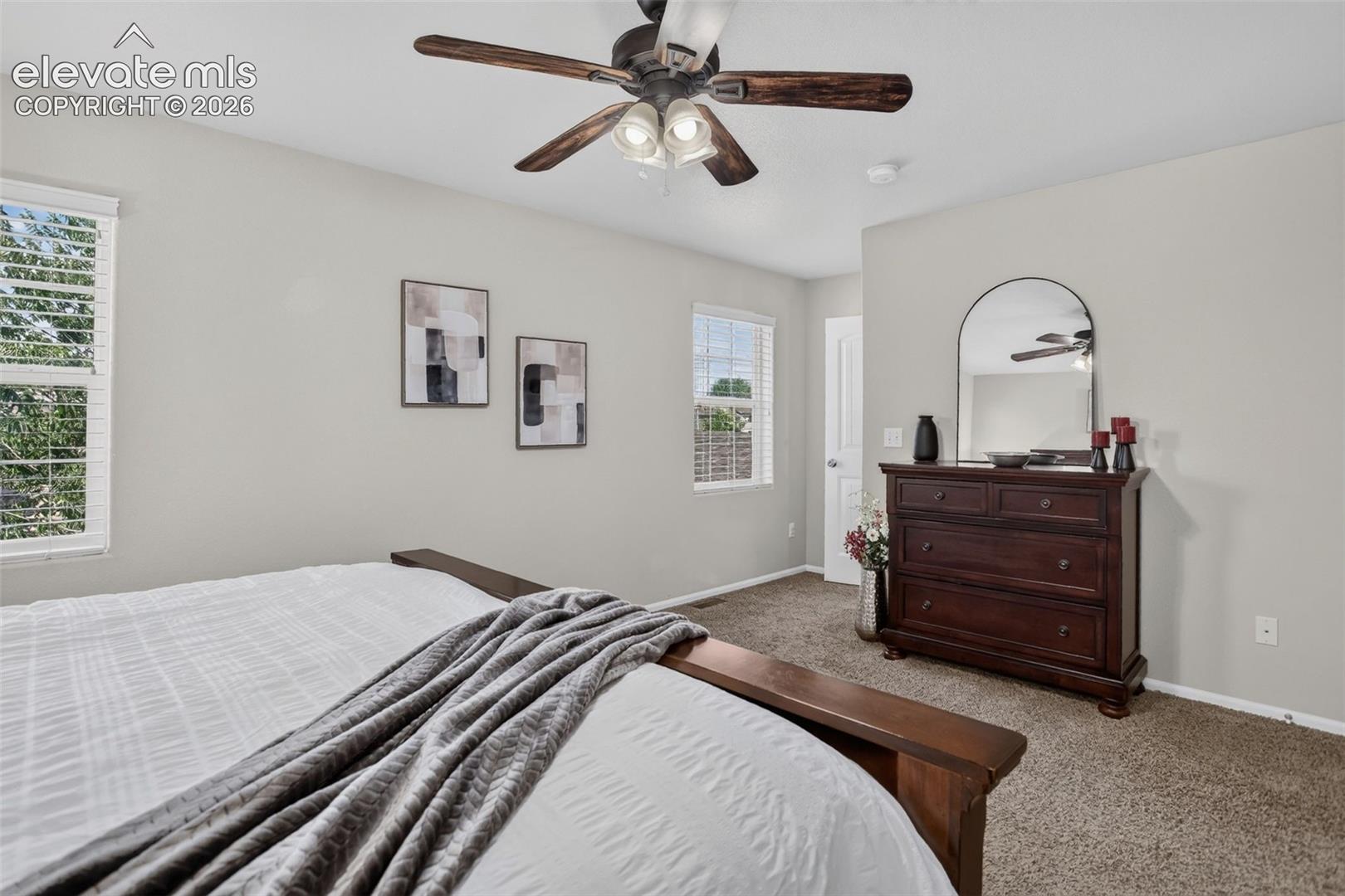Photo 31 of 3715 Chia Drive, Colorado Springs