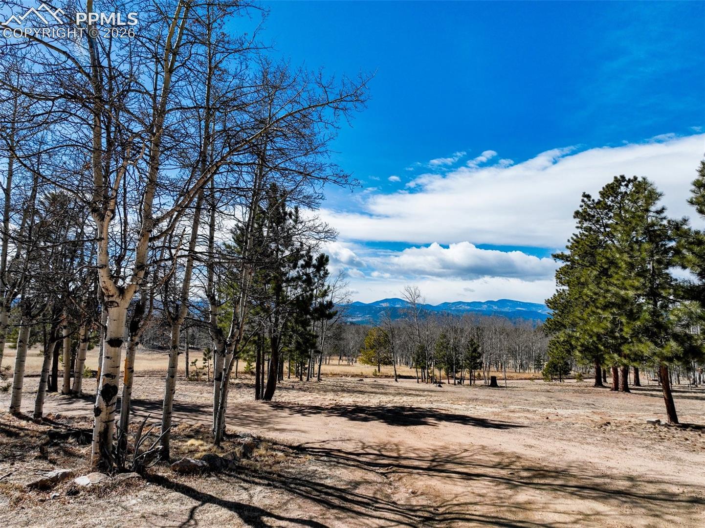 1874 Vagabond Creek Dr, Lake George, CO 80827