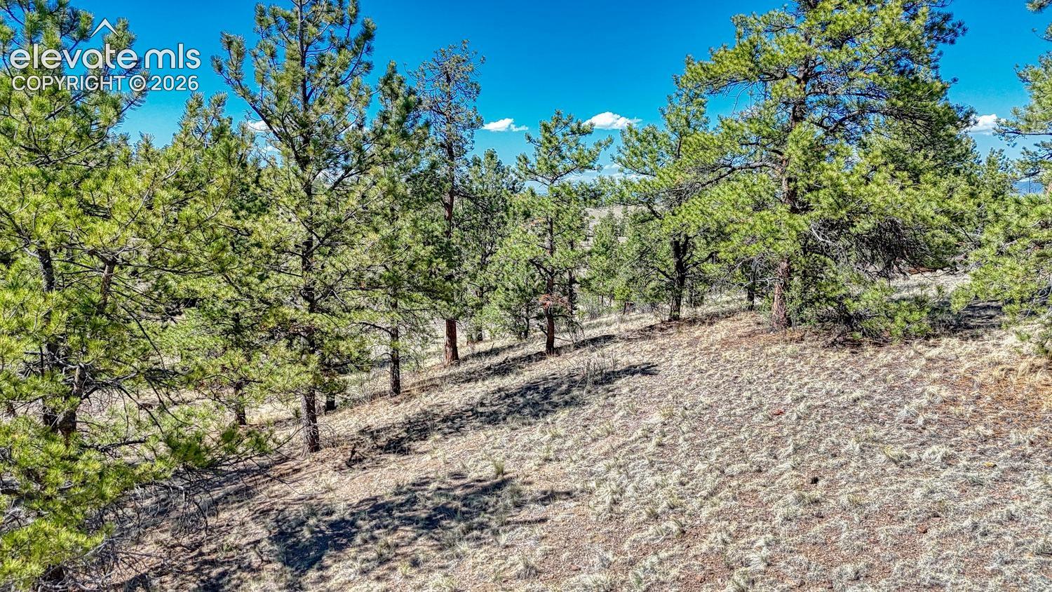 Photo 15 of Lot 11 Highway 9, Hartsel