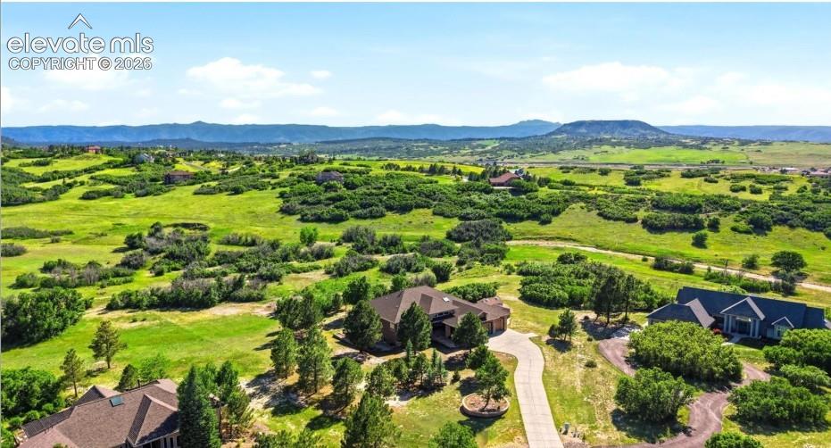 Expansive verdant landscape with scattered trees, a paved driveway, and distant mountainous terrain
