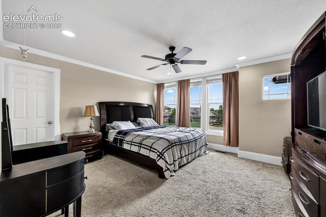 Photo 24 of 6660 Big Leaf Lane, Colorado Springs