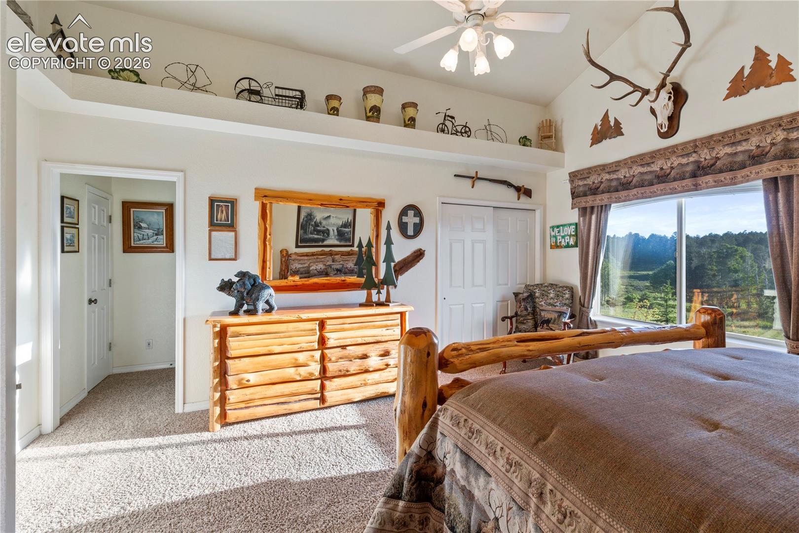 Photo 14 of 3133 Homestake Place, Lake George
