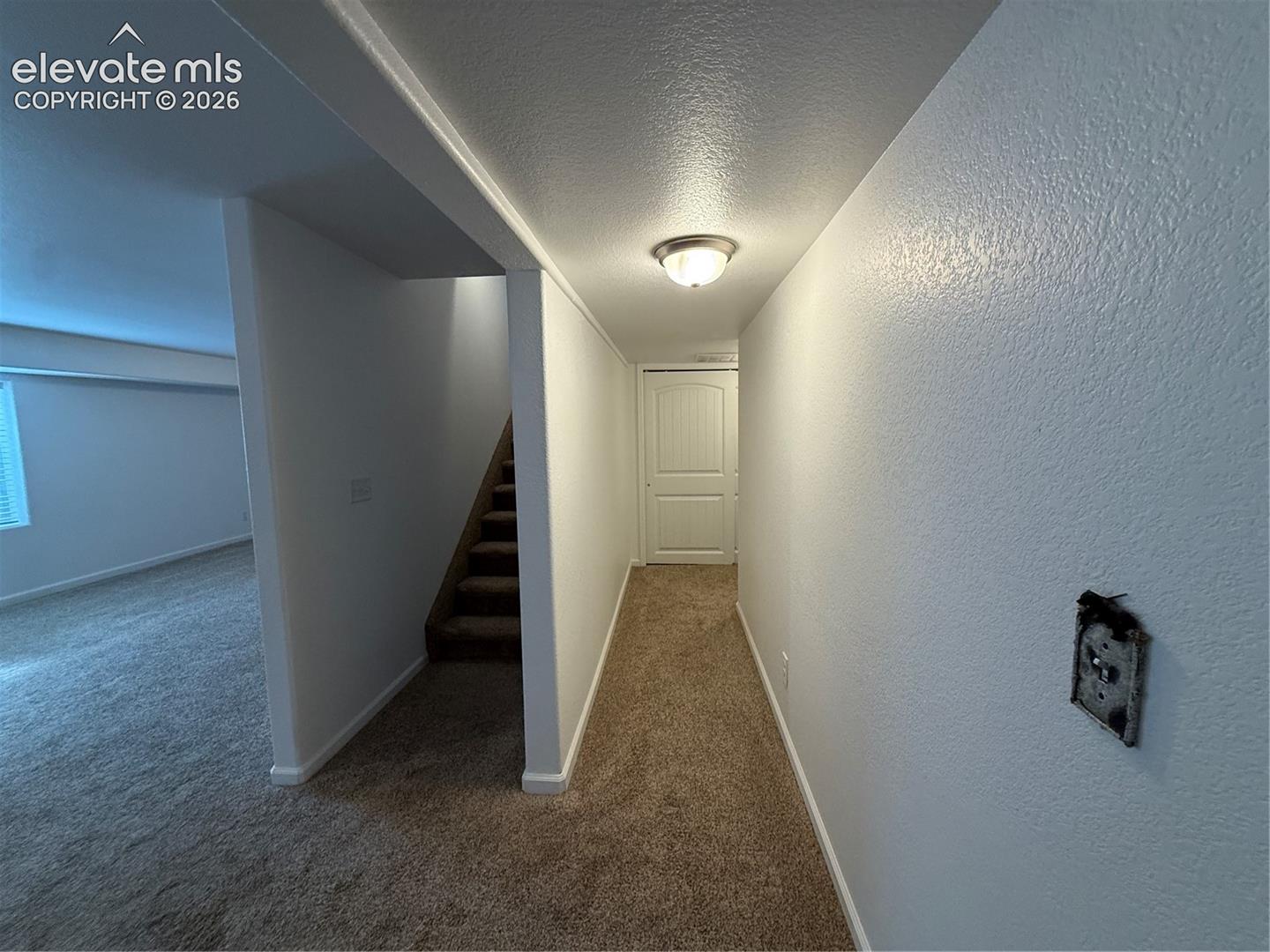 Neutral wall color, carpeted flooring, flush-mount lighting, and interior paneled door