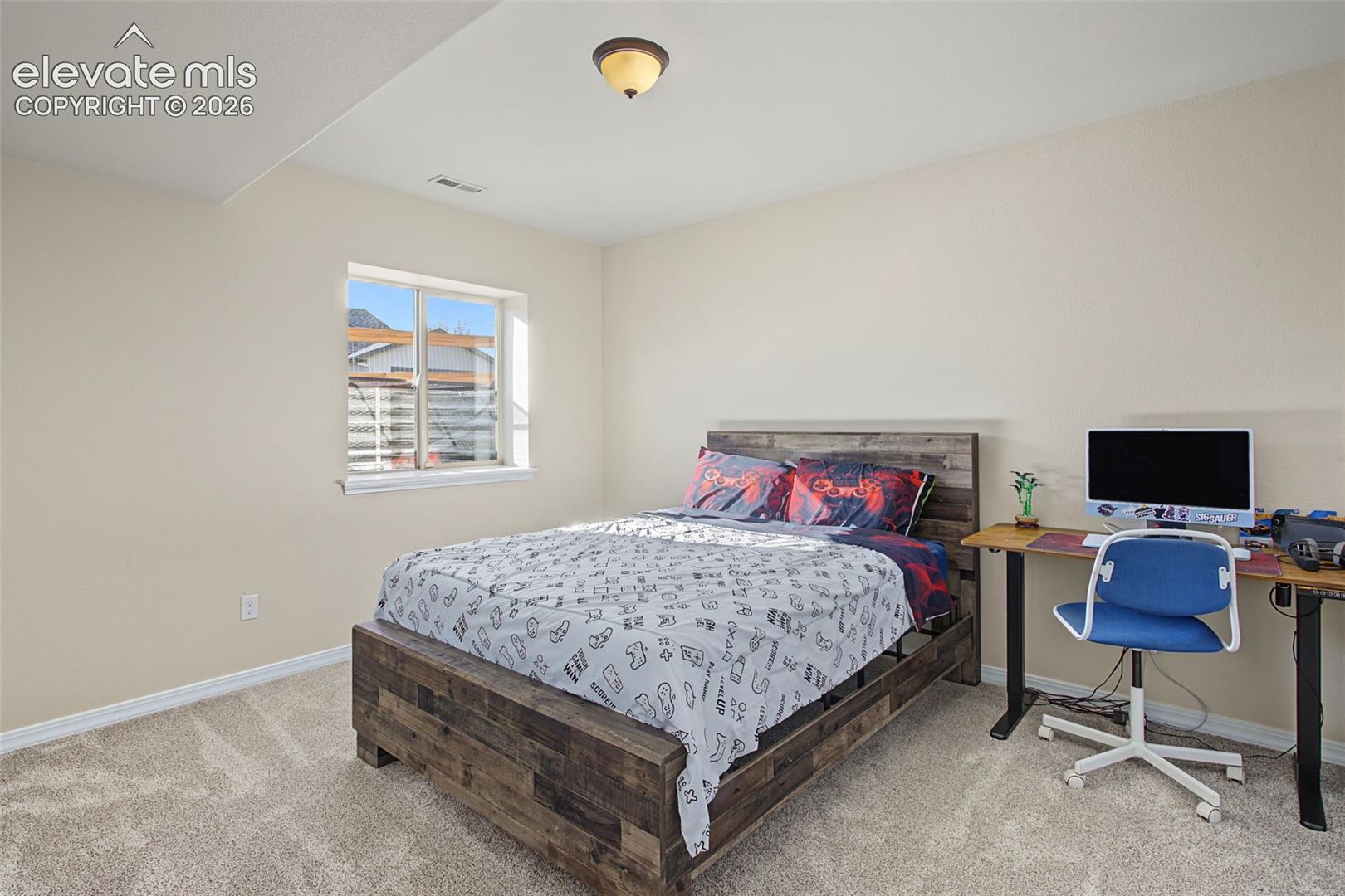 Neutral-toned interior room featuring wall-to-wall carpeting and a single-hung window with a white frame, illuminated by a ceiling-mounted flush-mount light fixture
