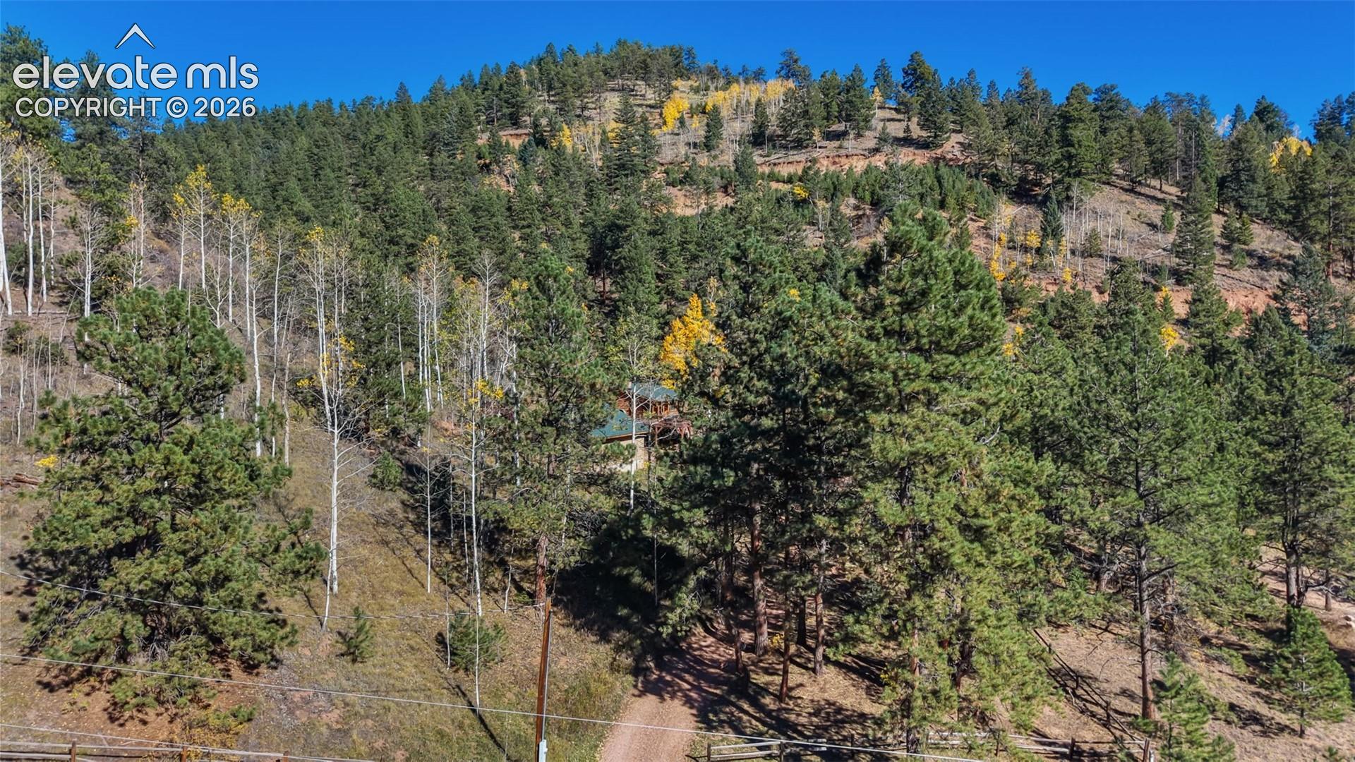 Expansive lot featuring mature evergreen trees, indigenous aspen stands, rugged mountainous terrain, and a dirt access road