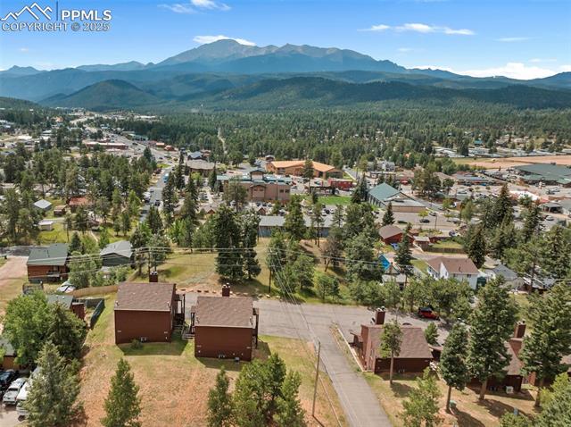303 E Lake Ave, Woodland Park, CO 80863