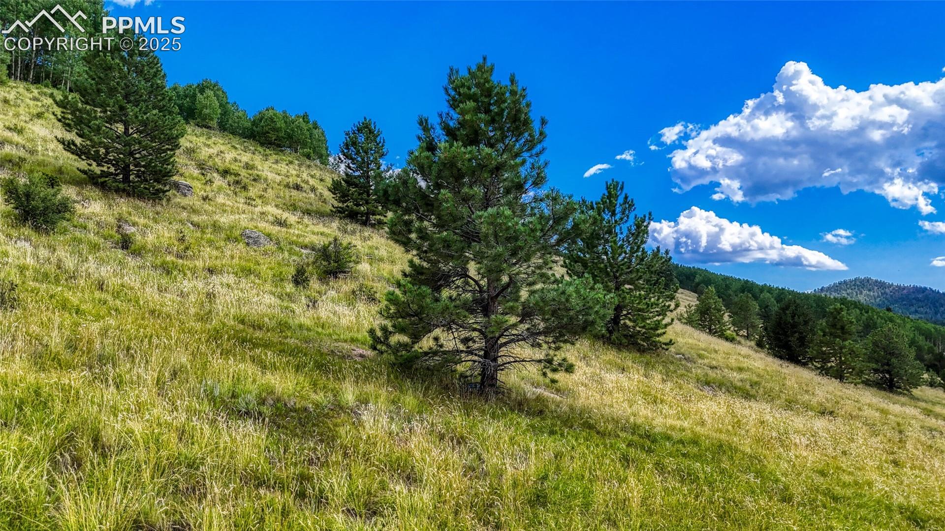 Photo 24 of 972 Anges Drive, Cripple Creek