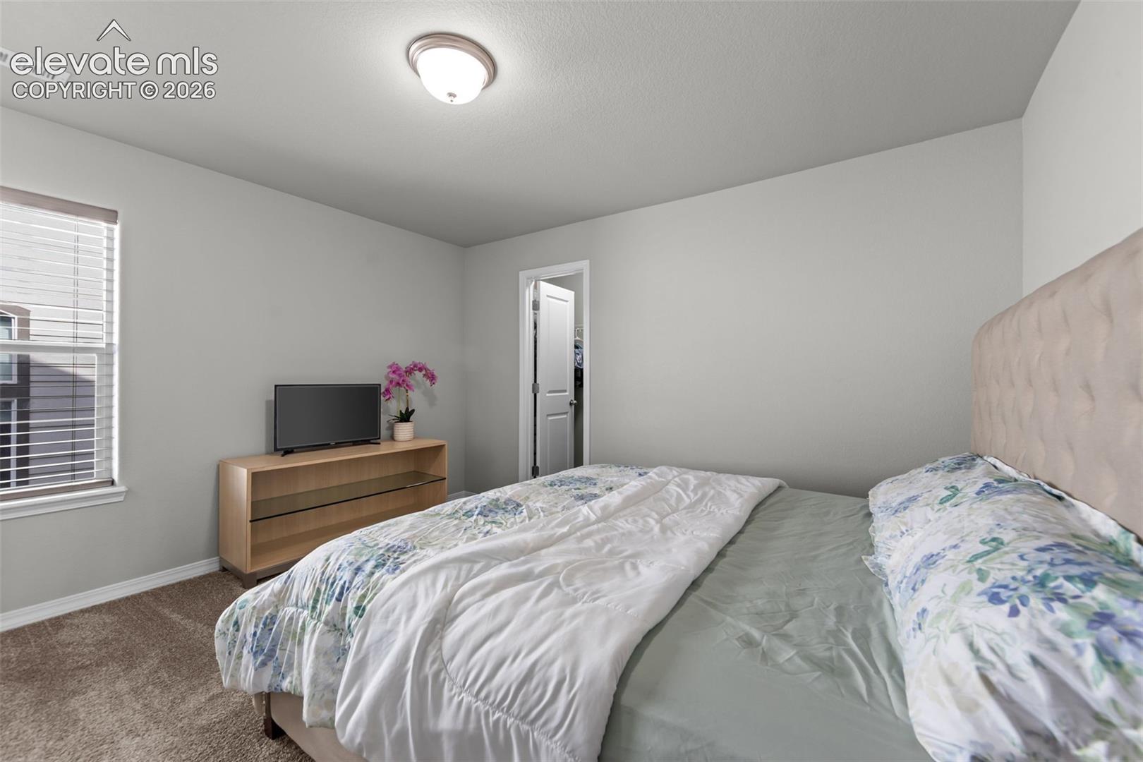 Carpeted room featuring a window with horizontal blinds and a flush mount ceiling light