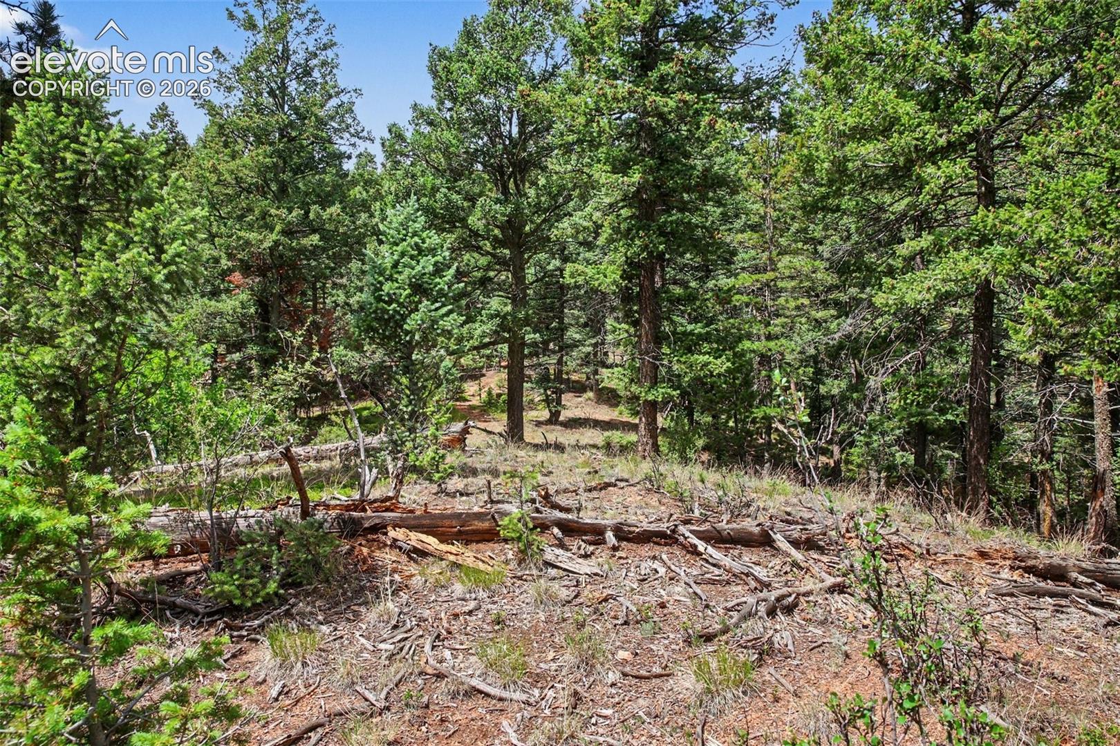 Photo 8 of 10905 W Highway 24, Green Mountain Falls