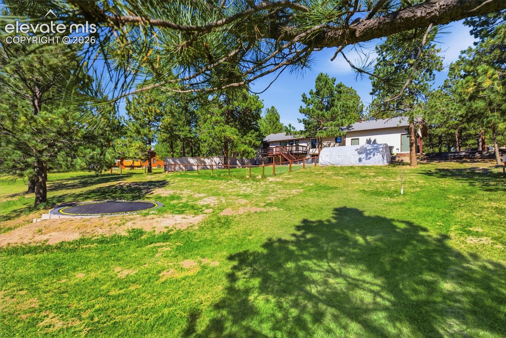 Expansive grassy yard with mature trees and a built-in trampoline