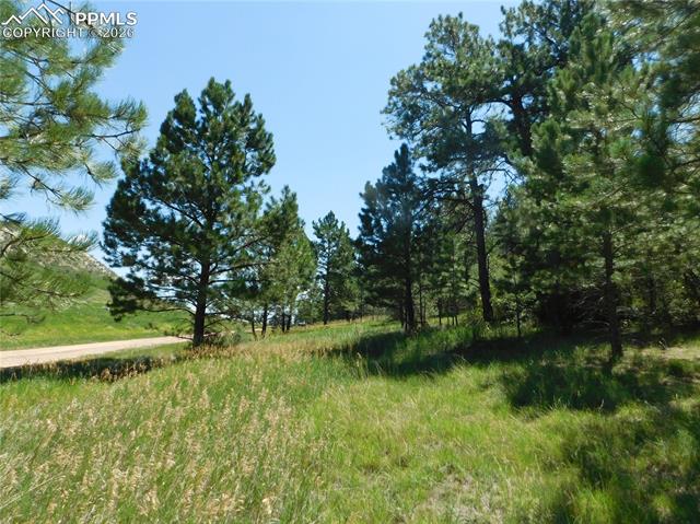 Photo 25 of 4668 Comanche Drive, Larkspur