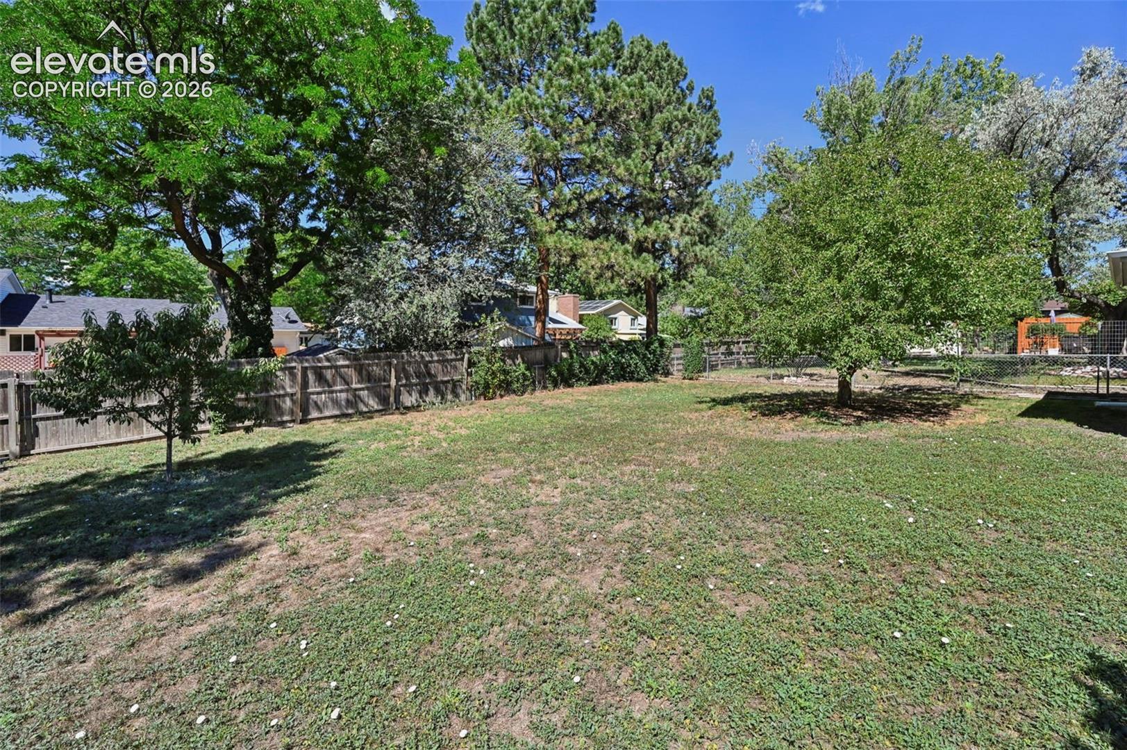 Huge back yard with mature trees