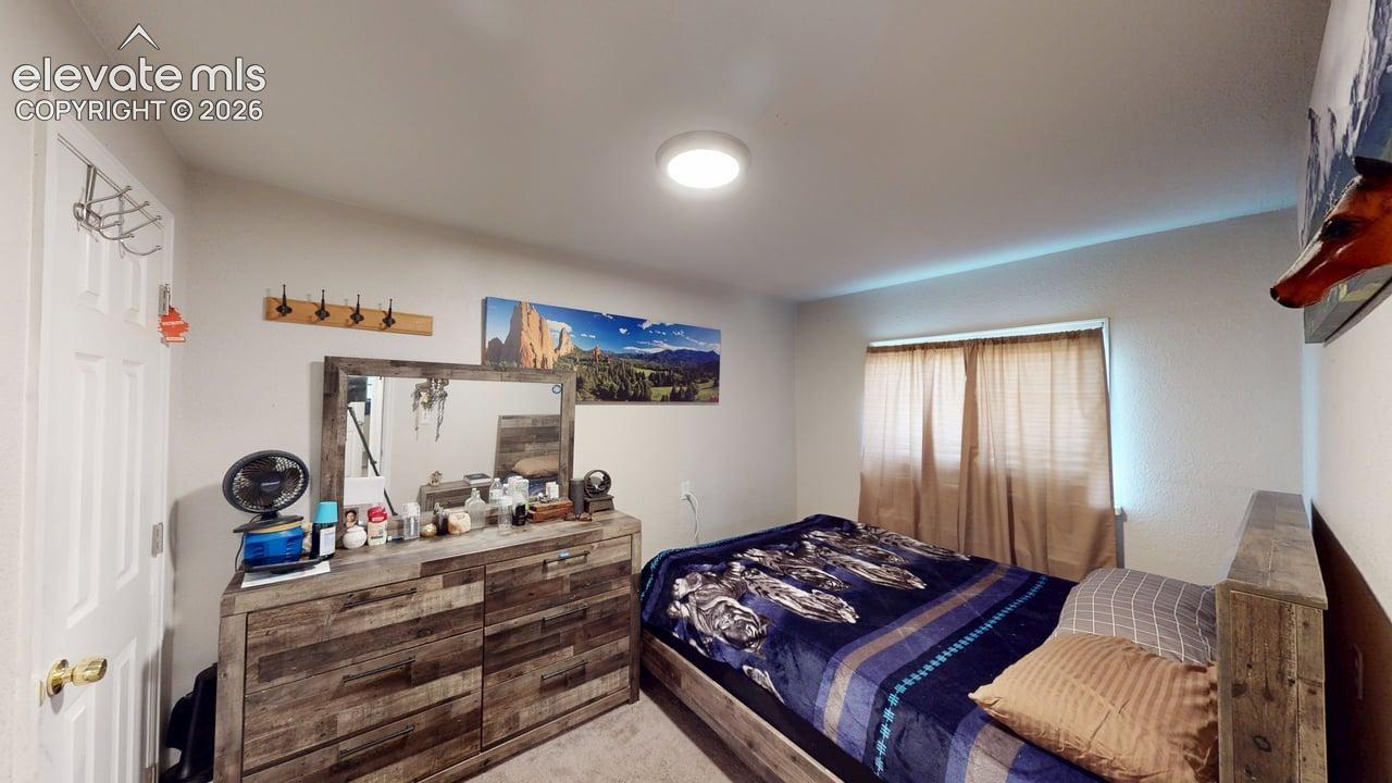 Carpeted flooring, window with privacy coverings, flush-mount ceiling light fixture, and wood-finish door