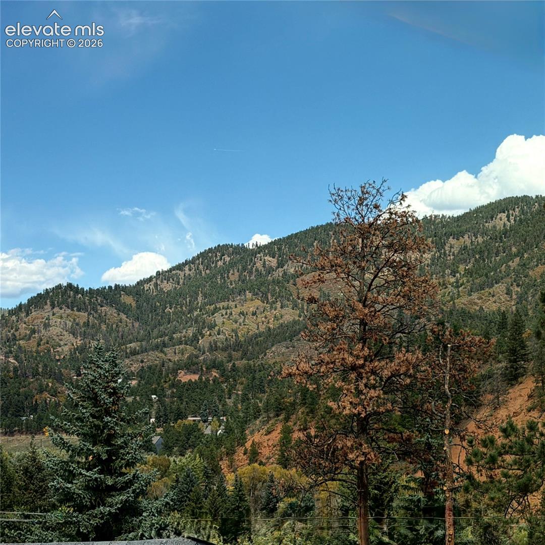 Mountainous terrain with natural tree coverage