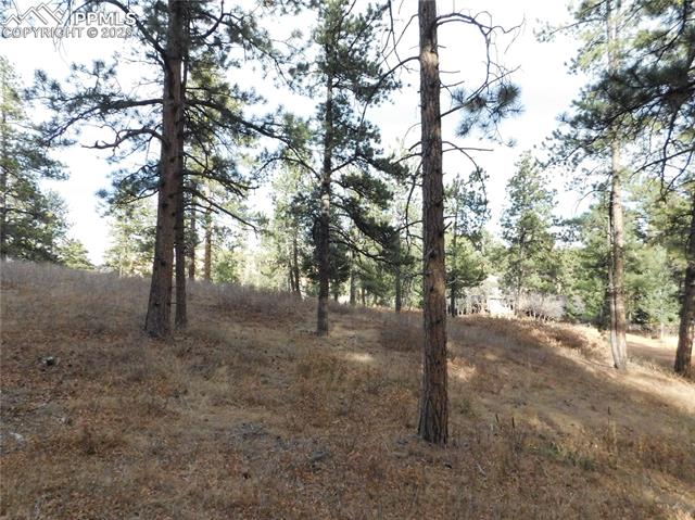 Photo 28 of 8055 Acoma Drive, Larkspur