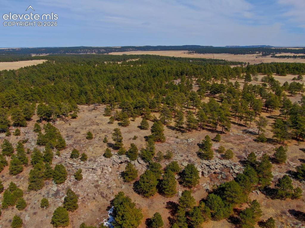 Drone view