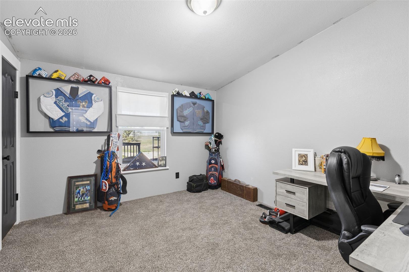 Room featuring neutral-toned carpeting, a single-hung window, and a ceiling-mounted light fixture