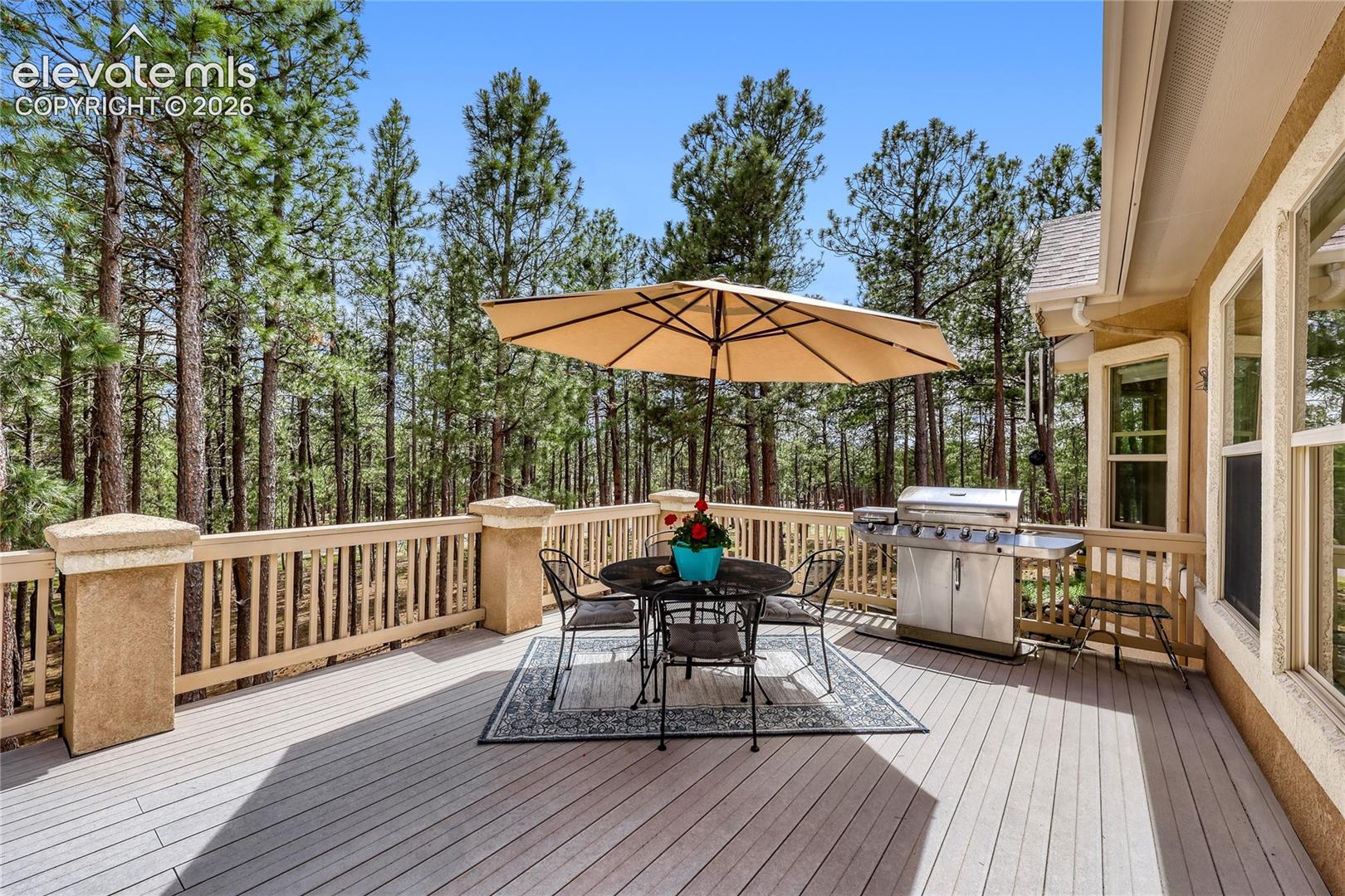 Photo 13 of 15931 Waving Branch Way, Colorado Springs