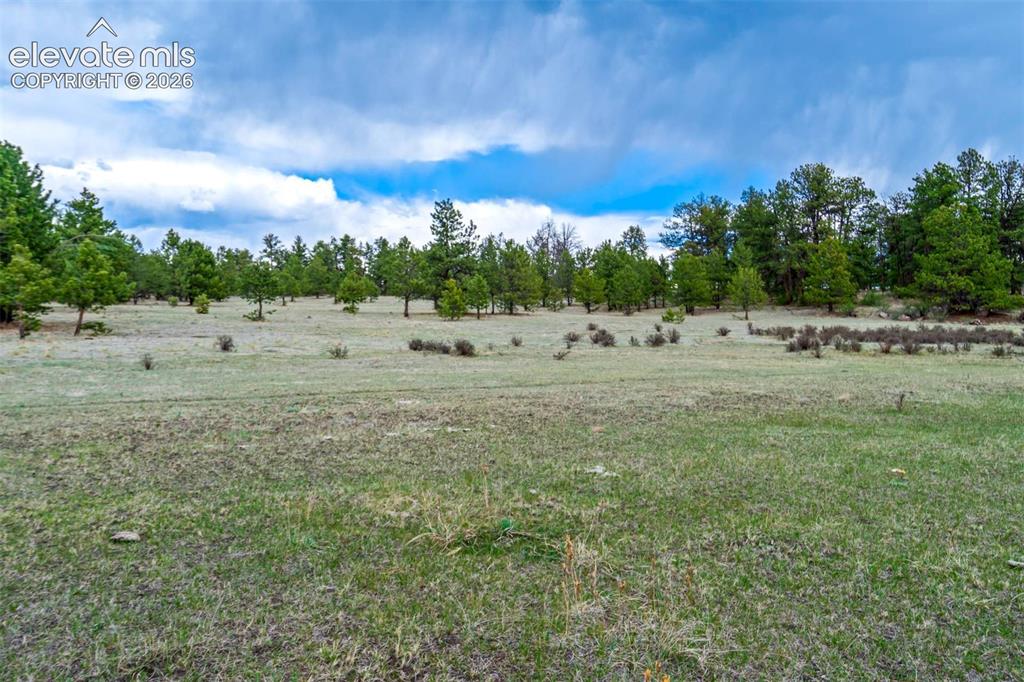 Photo 6 of Tract 103 Doe Valley Road, Guffey
