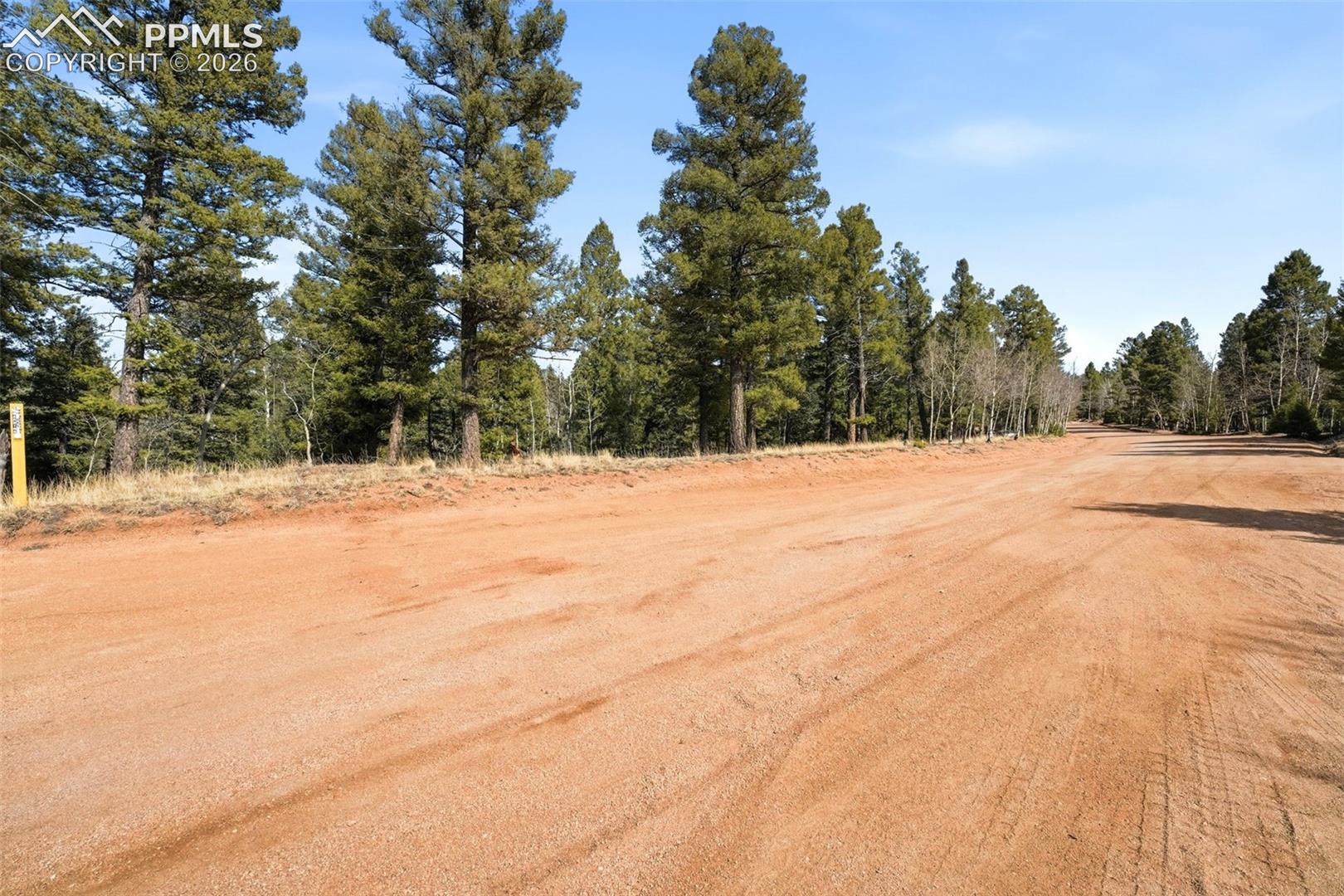 Photo 12 of 278 Cherry Lake Drive, Divide