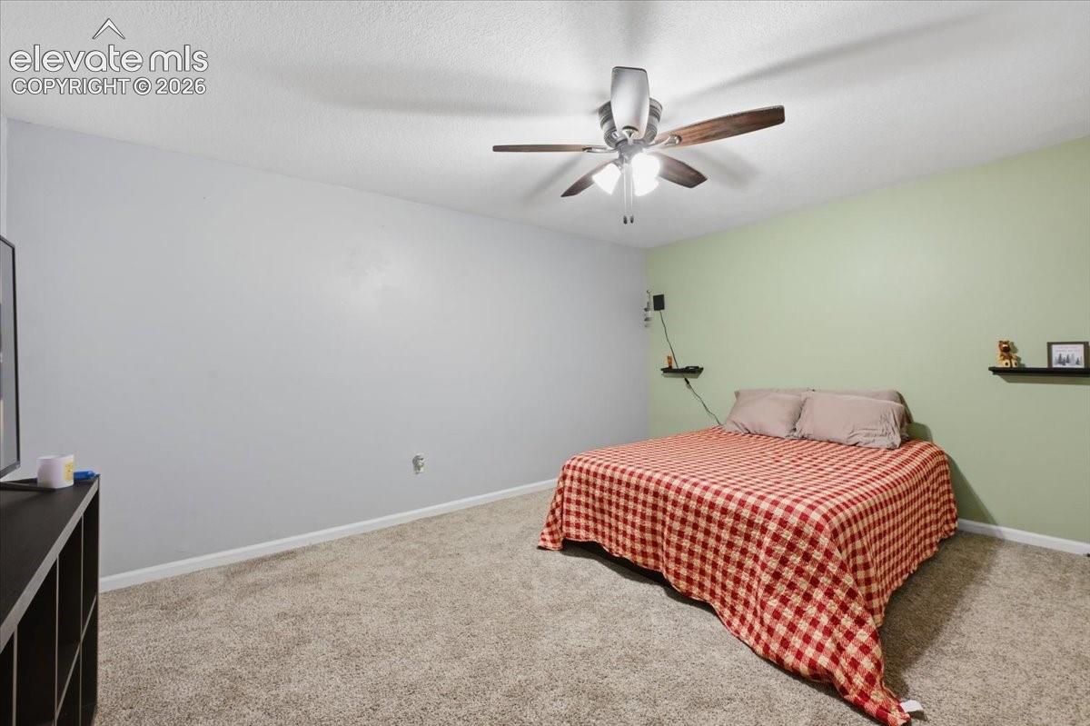 Basement bedroom 3 - Currently used as the primary bedroom.