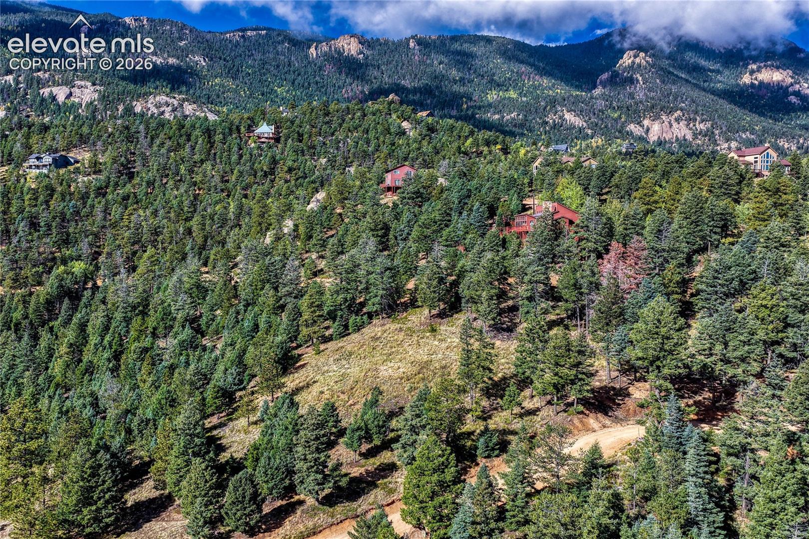 Lot nestled in the pines with mountain views