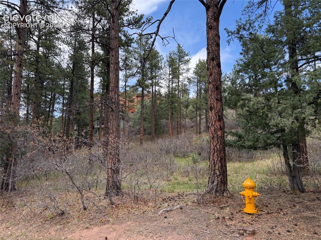 4885 Red Rock Dr, Larkspur, CO 80118