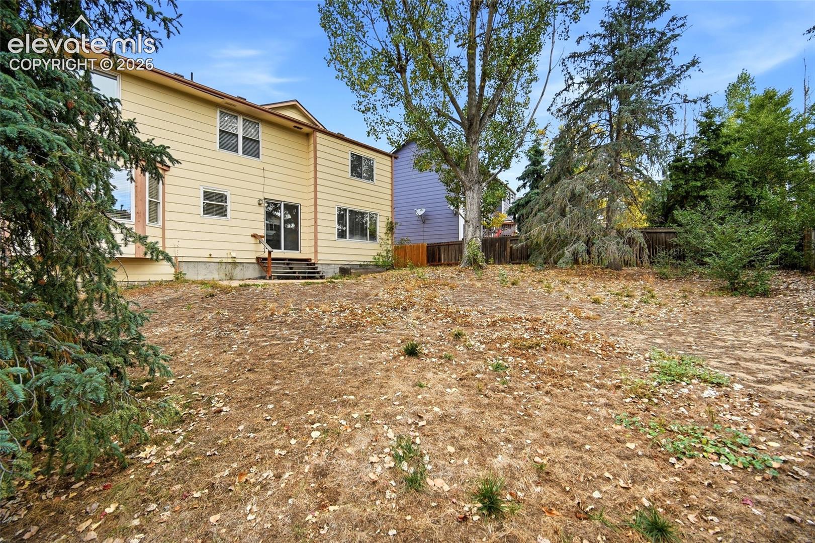 Rear exterior elevation featuring lap siding, multi-pane windows, sliding glass doors, and mature evergreen and deciduous trees