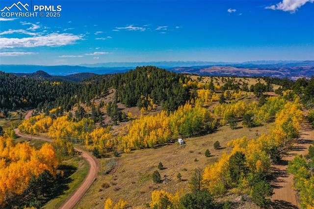 230 Penrose Cir, Cripple Creek, CO 80813