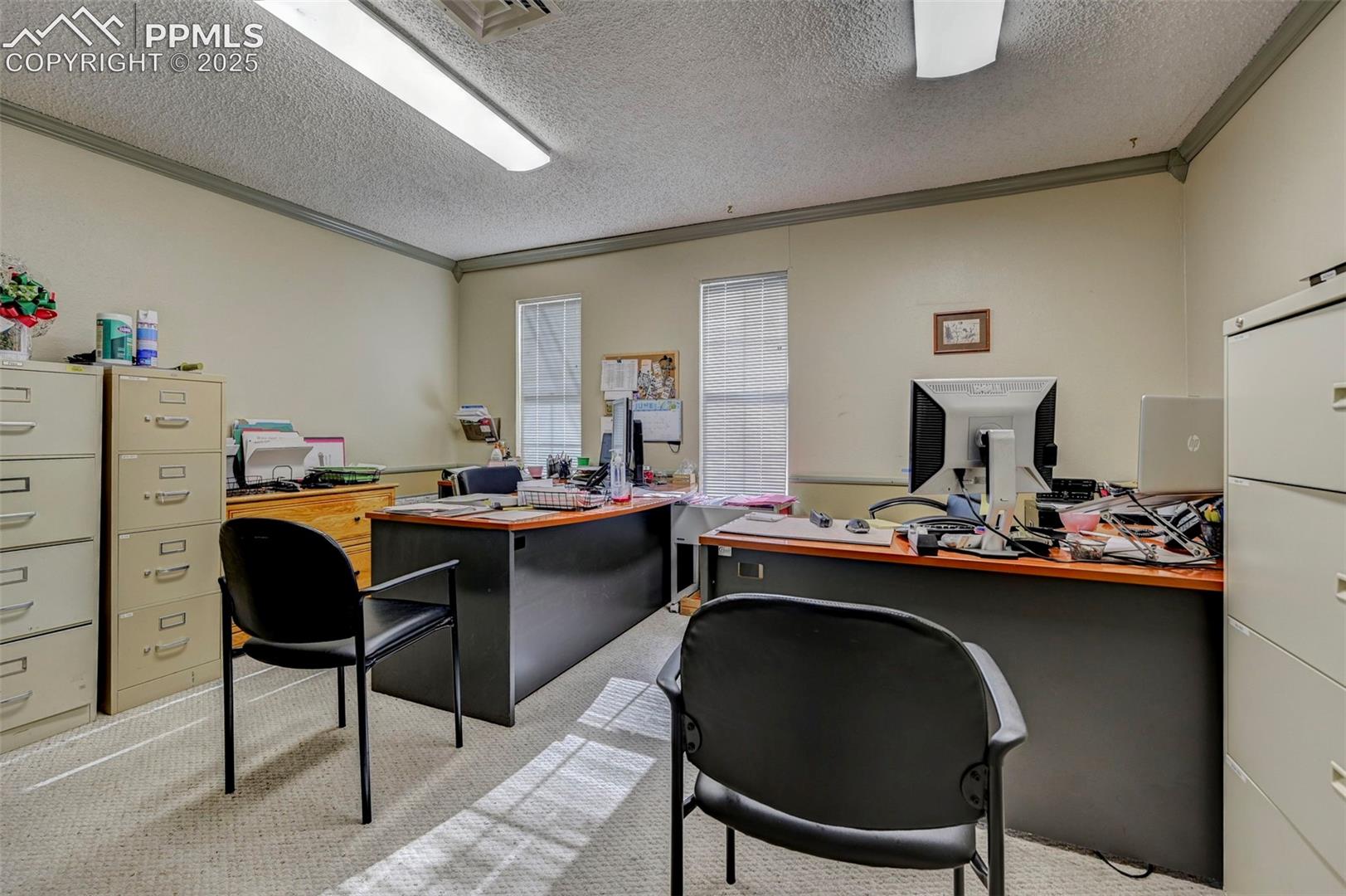 Office with crown molding, light colored carpet, and a textured ceiling