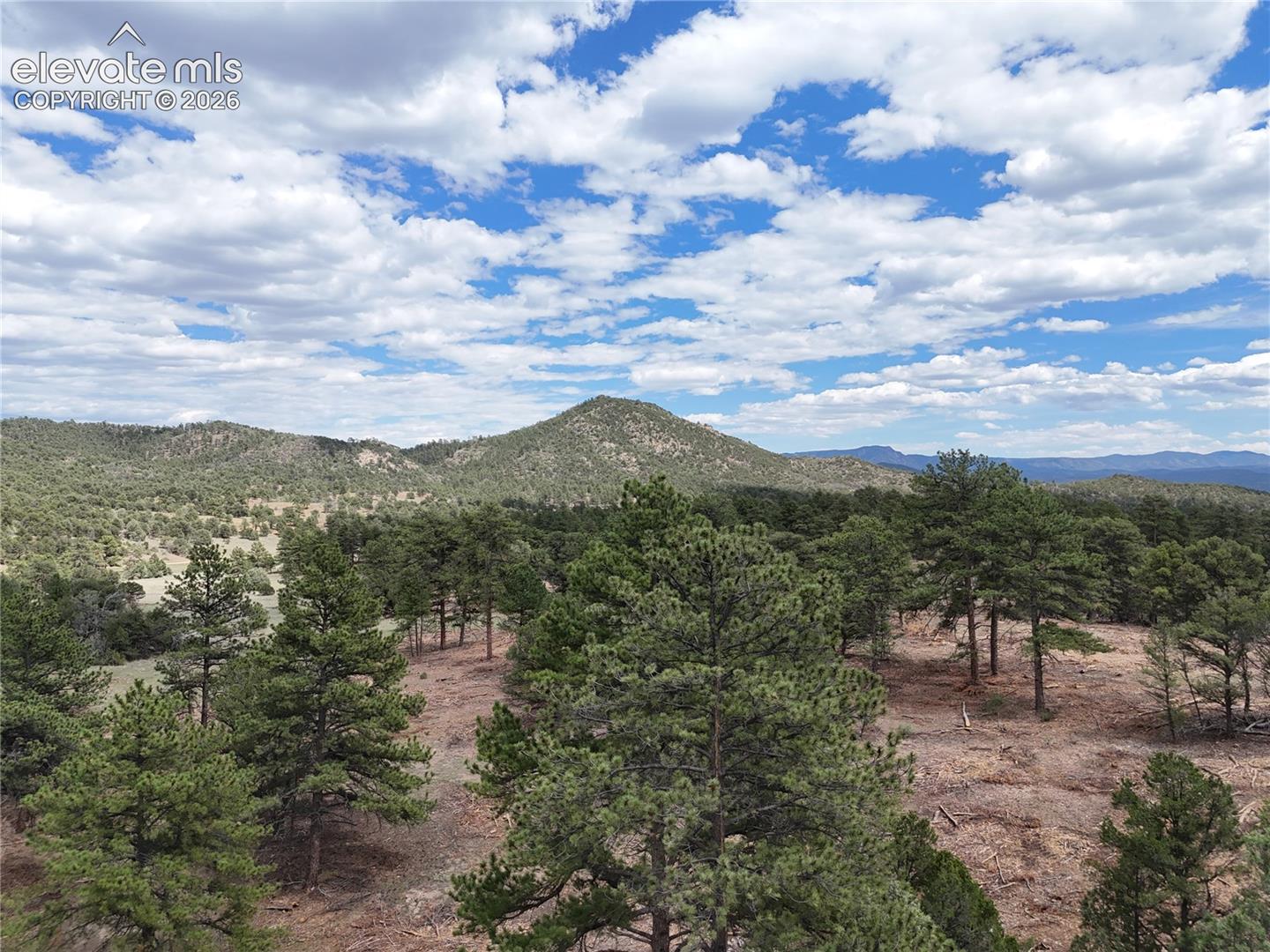 Expansive mountain scenery featuring a prominent peak, distant mountain ranges, and numerous evergreen trees