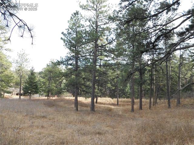 Photo 25 of 8055 Acoma Drive, Larkspur