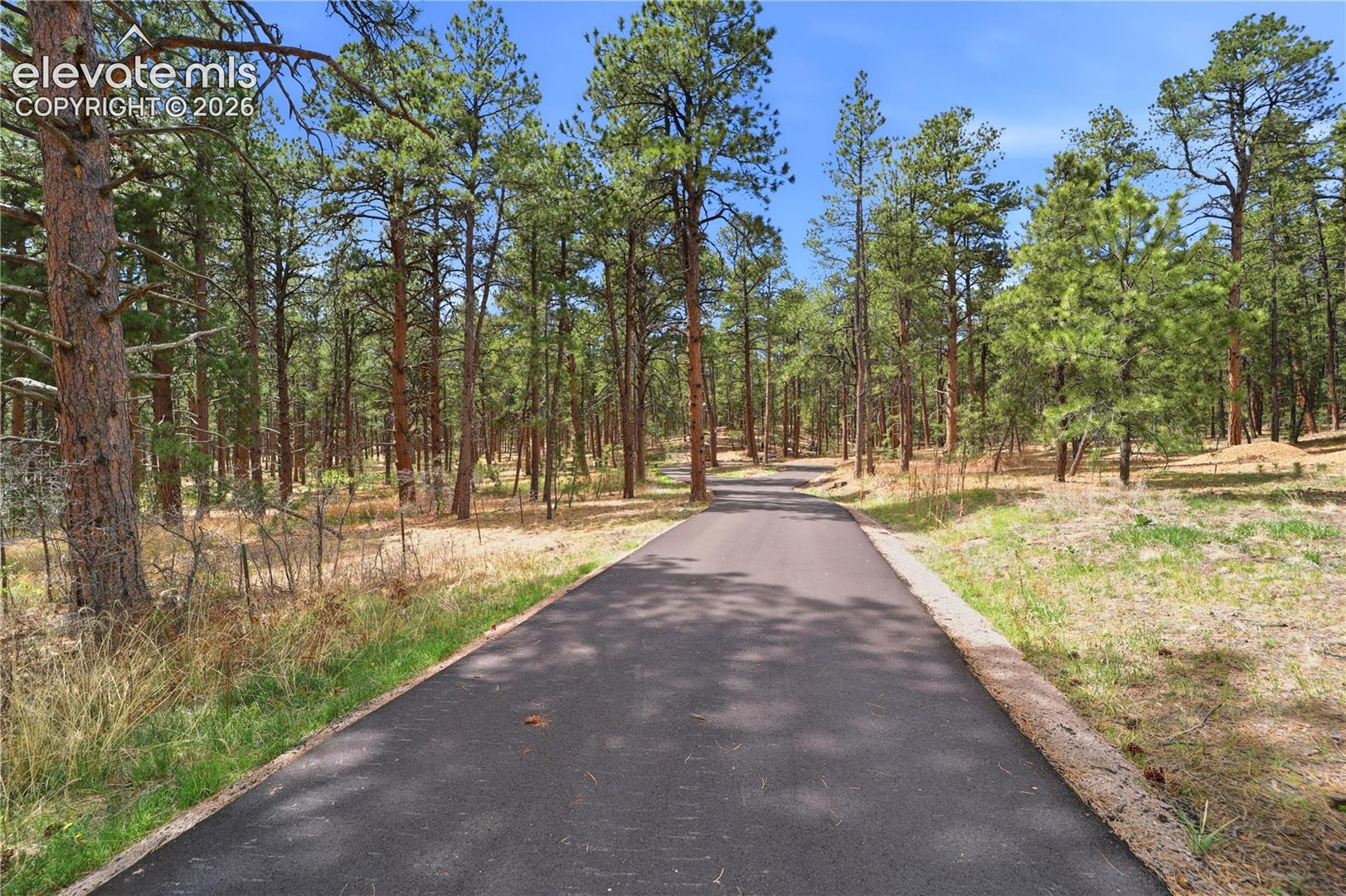 Photo 6 of 15950 Roller Coaster Road, Colorado Springs