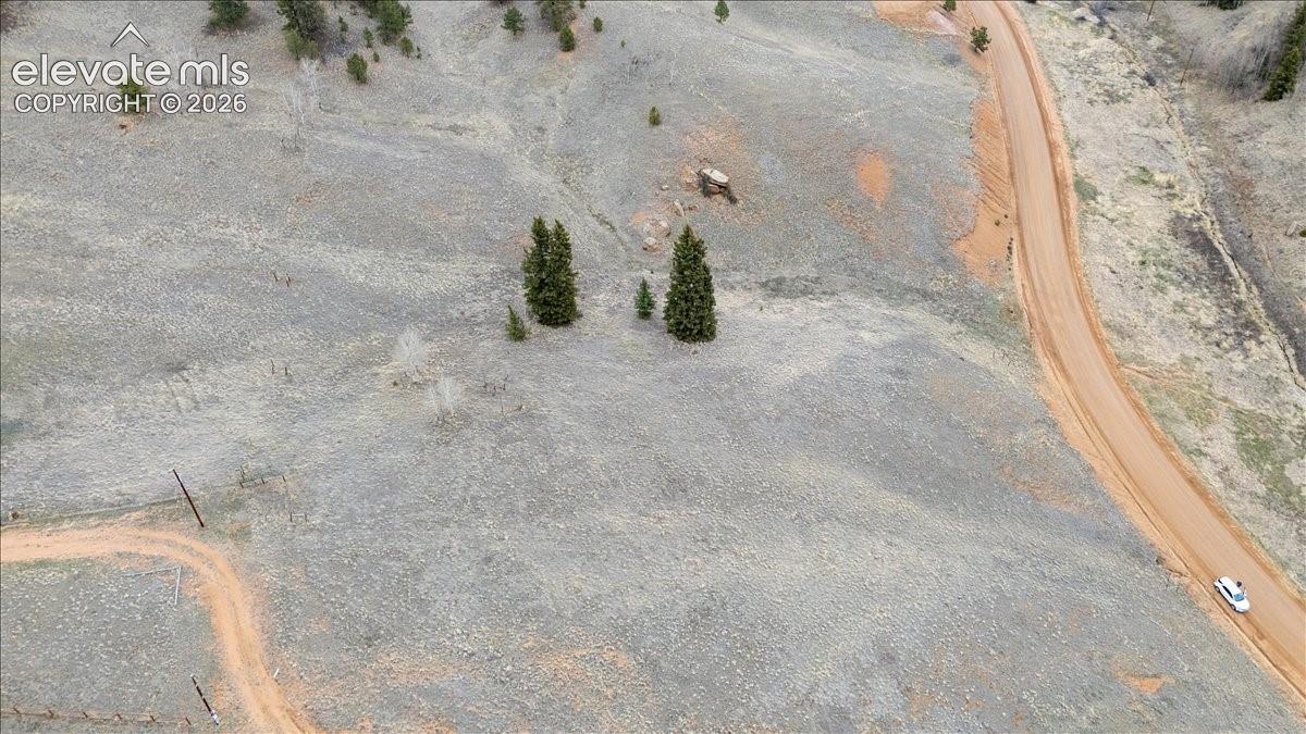 175 Twin Lakes Dr, Divide, CO 80814