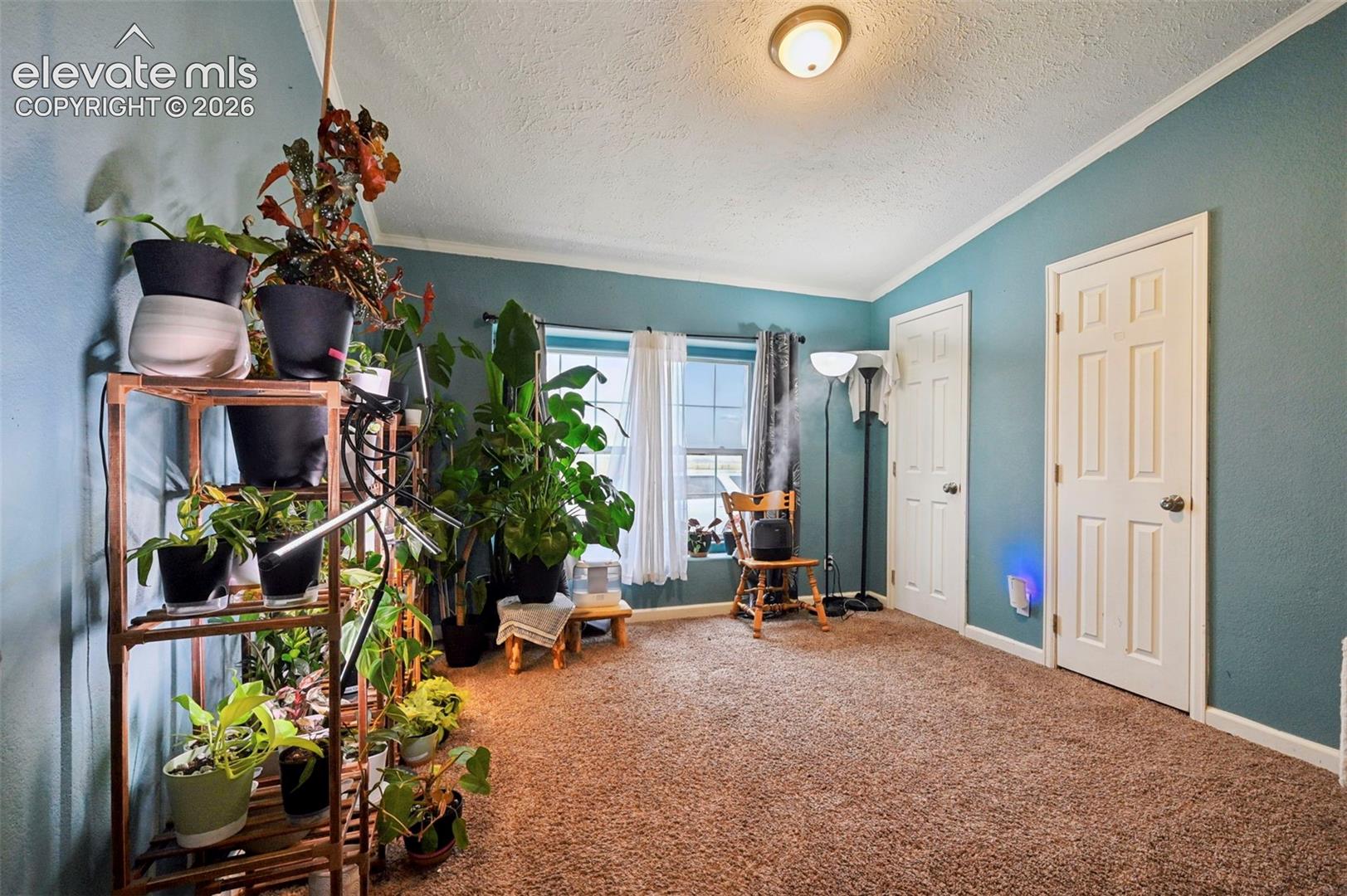 Photo 25 of 1498 Spotted Owl Way, Calhan