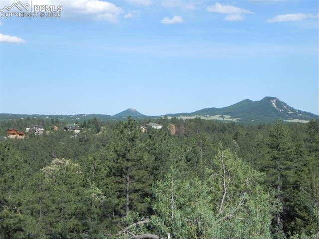 View form lot