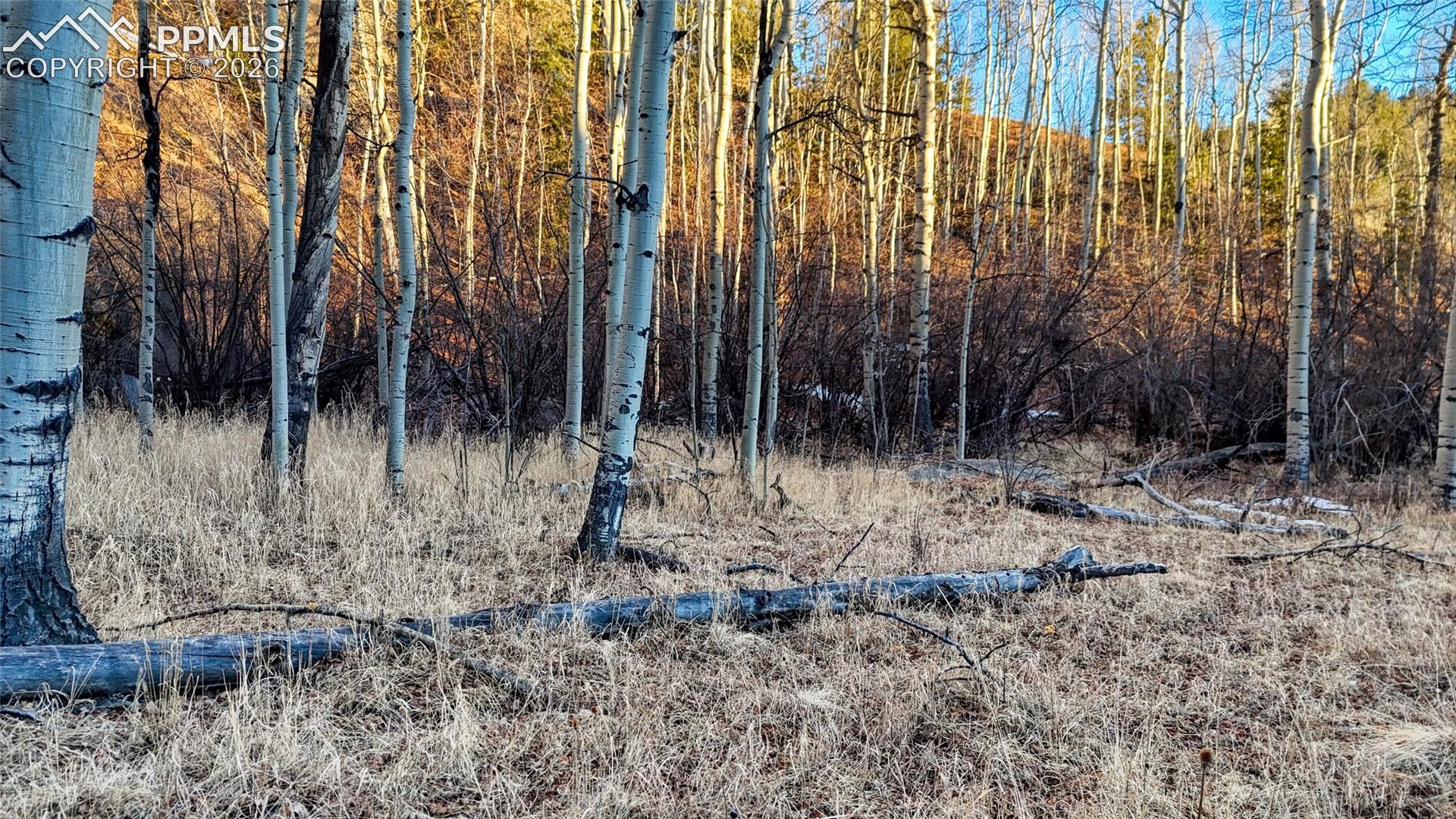 Photo 9 of 524 Buckhorn Road, Cripple Creek