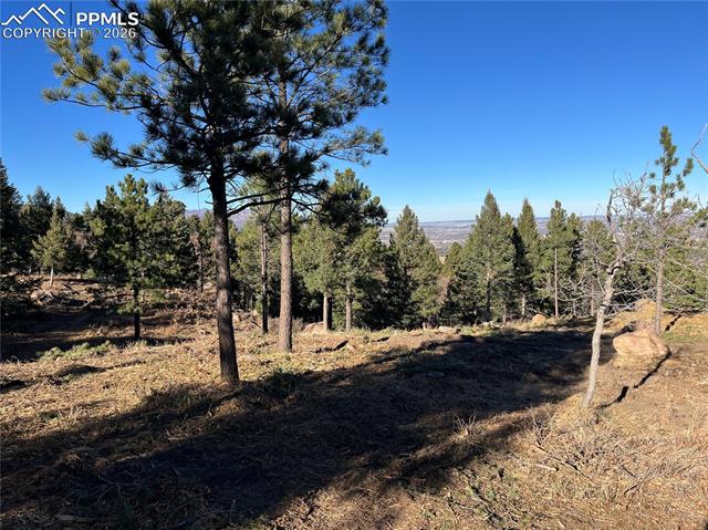 Photo 8 of 920 Grey Mountain Point, Colorado Springs