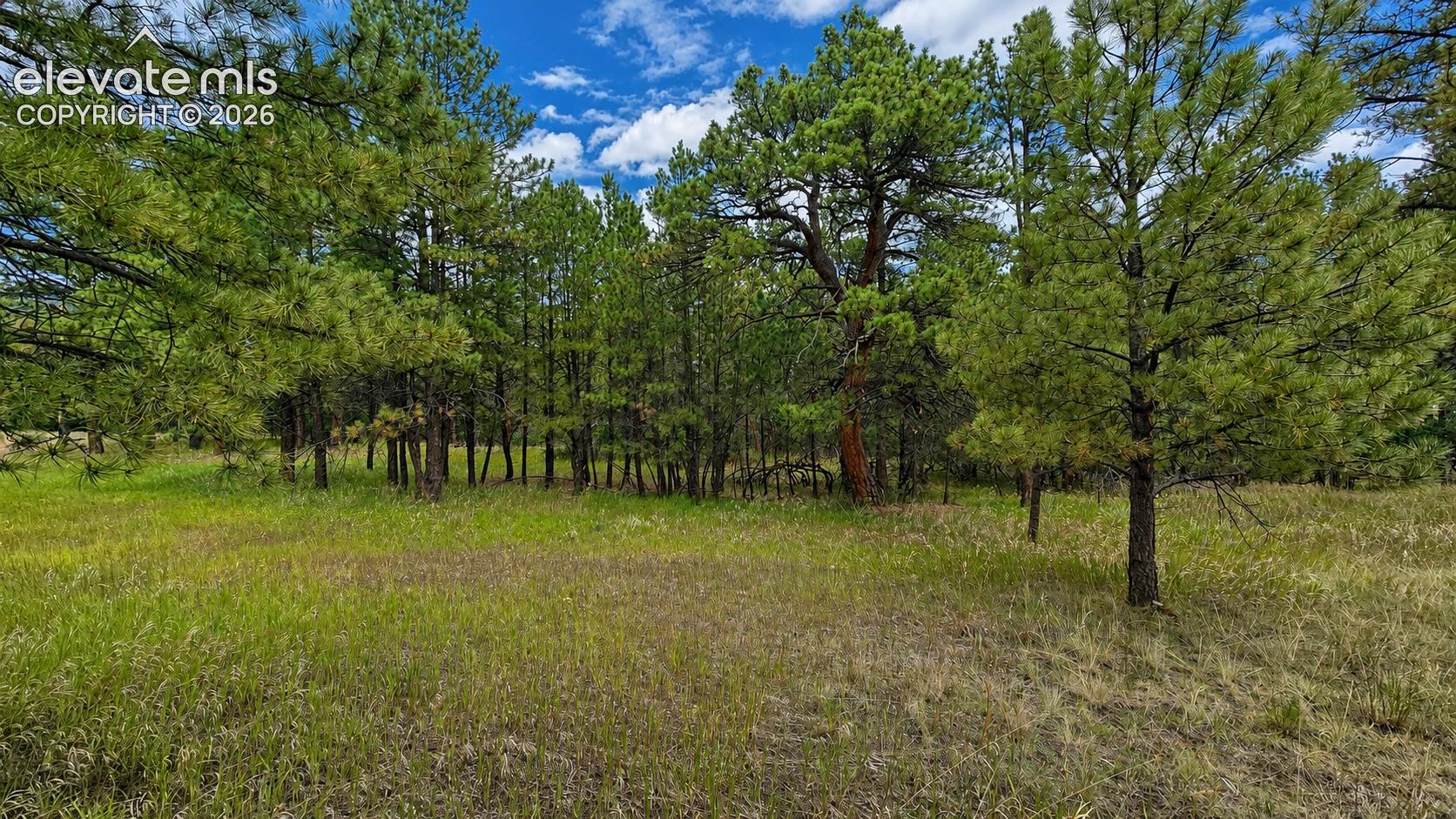 Photo 8 of 00 Westwood Road, Colorado Springs