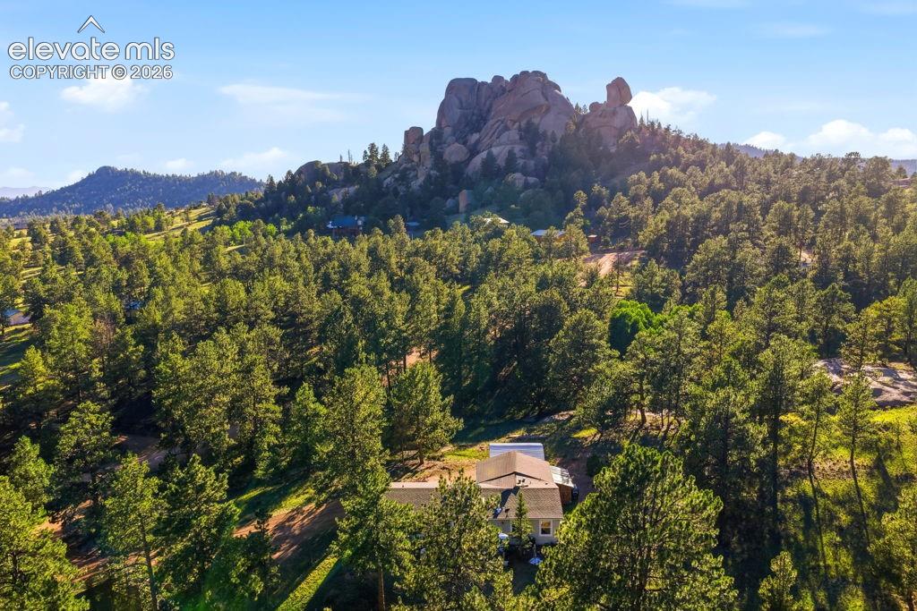 Wooded property featuring a natural rock formation backdrop