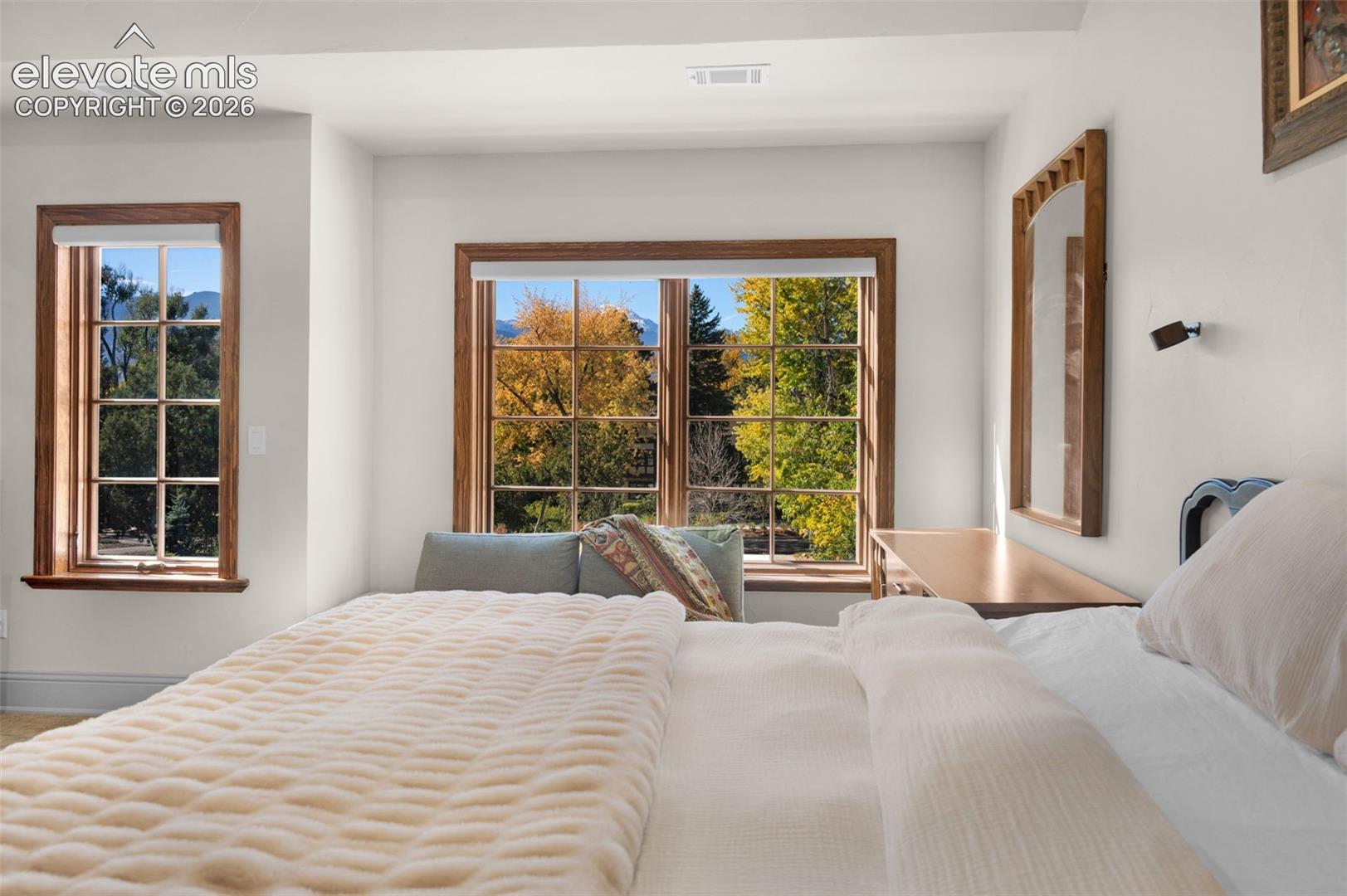 Multi-pane windows with wood trim and exterior mountain scenery