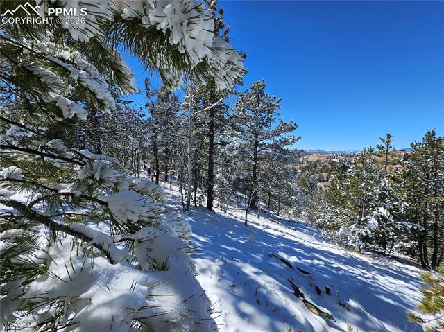 Photo 7 of 829 Princess Road, Cripple Creek
