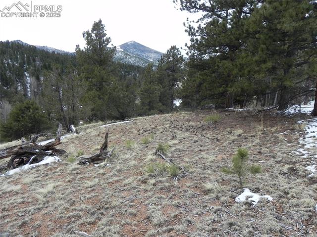 Photo 7 of 153 Idlewild Drive, Cripple Creek