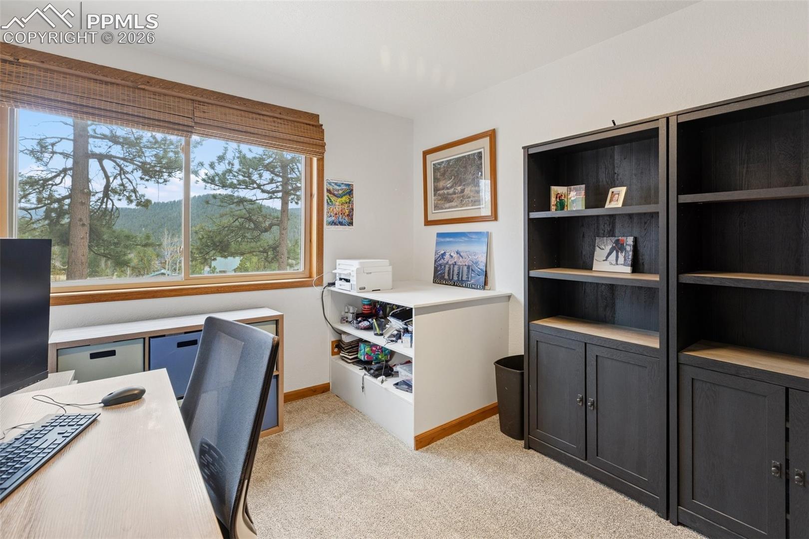 Photo 38 of 200 Sun Ridge Court, Woodland Park