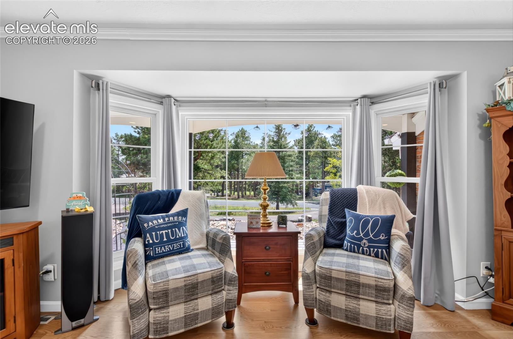 Expansive bay window with multiple panes, crown molding, light-toned walls, and wood-finish flooring