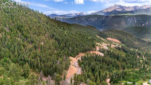 Mountain view featuring a forest