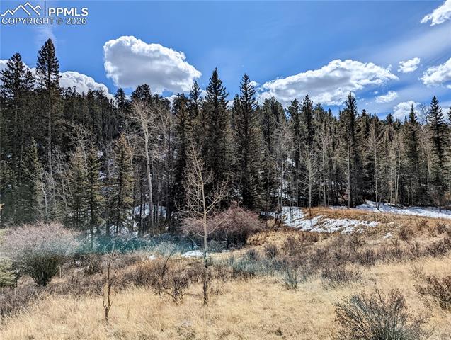 Photo 10 of 1620 Park Ridge Drive, Guffey