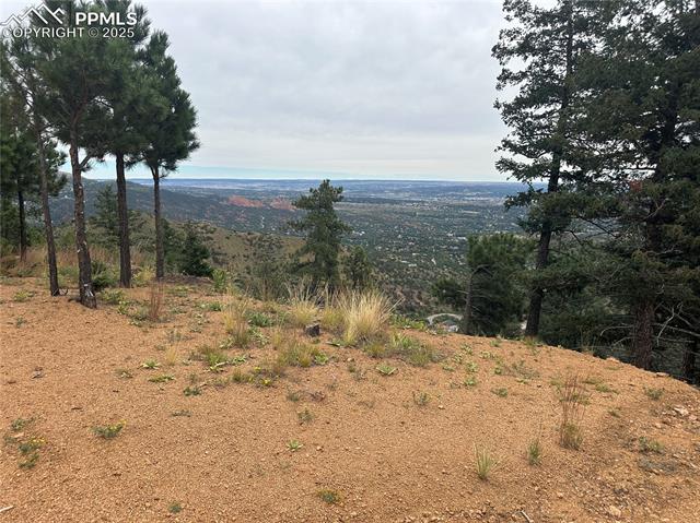 Build site views